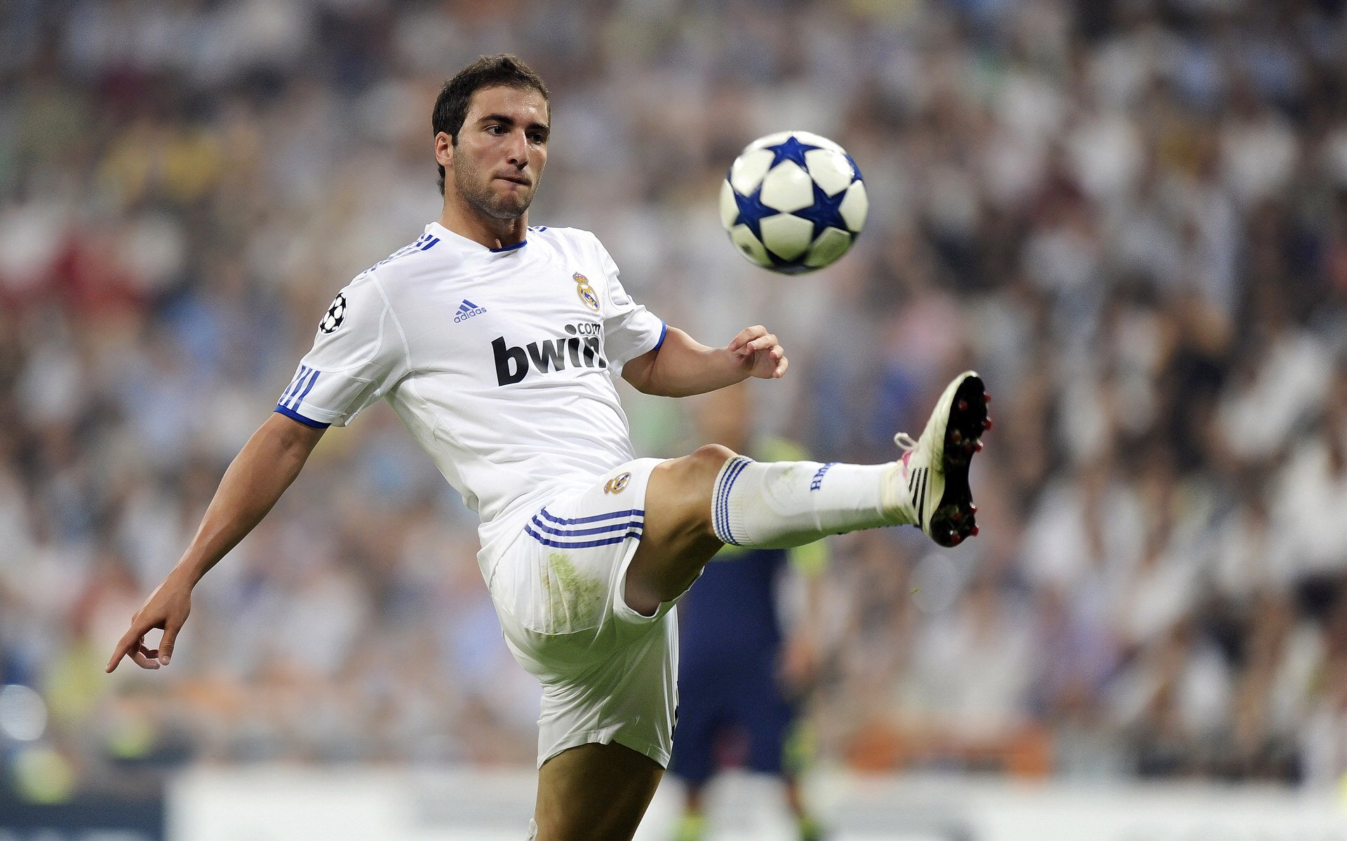 CBA常规赛广厦主场大胜福建 胡金秋砍下30+15统治内线，广厦队球员胡金秋